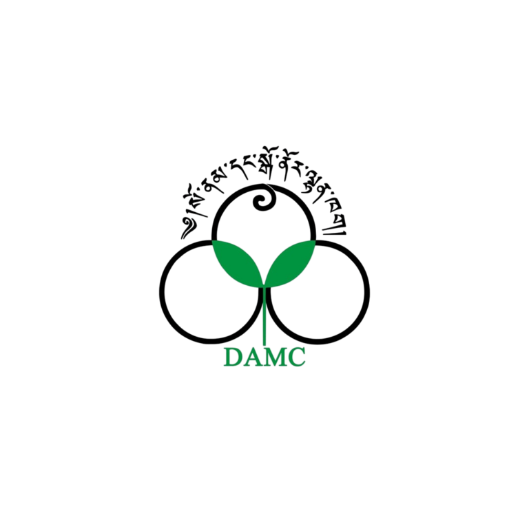 DAMC-2